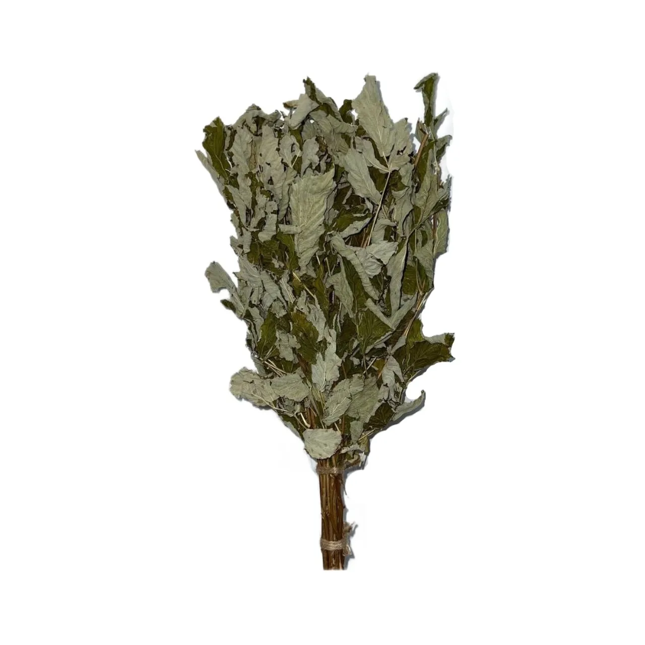 Травяной веник - Малина Травяной веник - Малина